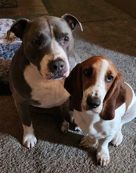 Warm Hearts Pet Hospital Picture 1