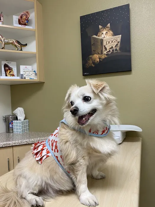 Warm Hearts Pet Hospital Picture 2