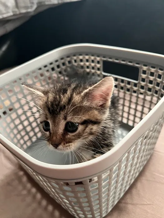 Warm Hearts Pet Hospital Picture 5