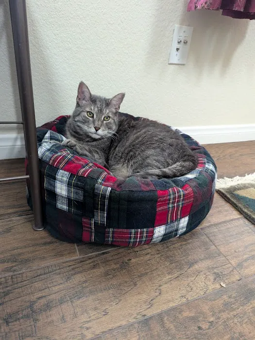 Warm Hearts Pet Hospital Picture 7
