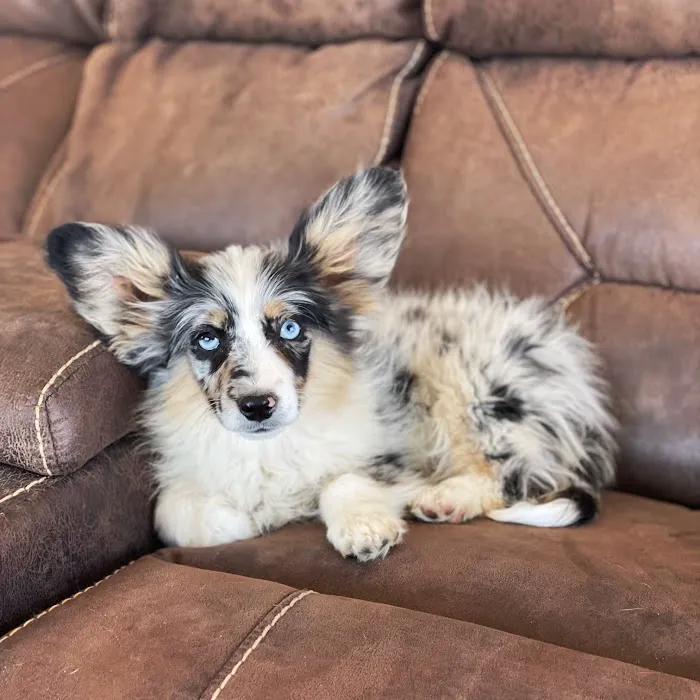 Warm Hearts Pet Hospital Picture 9