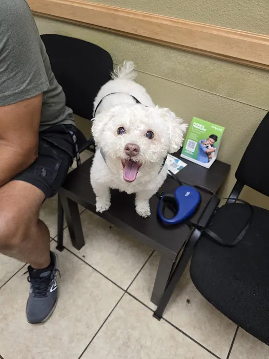 Warm Hearts Pet Hospital Picture 10