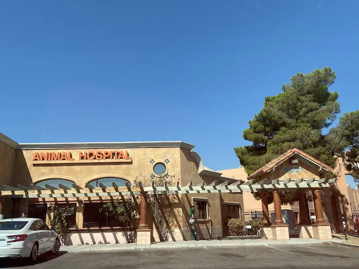 Parkway Springs Animal Hospital - at Arch Plaza Picture 6