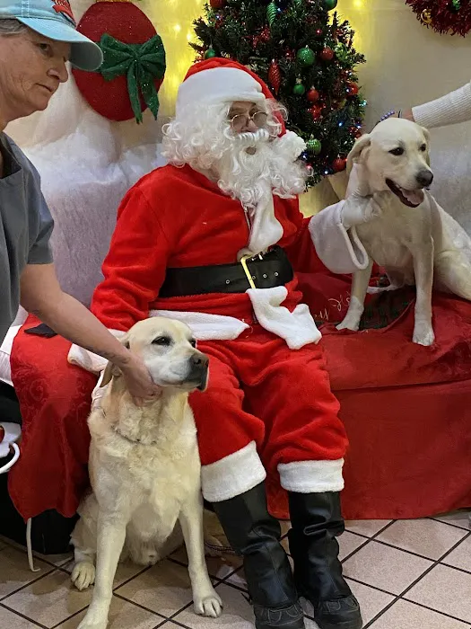 Parkway Springs Animal Hospital - at Arch Plaza Picture 8