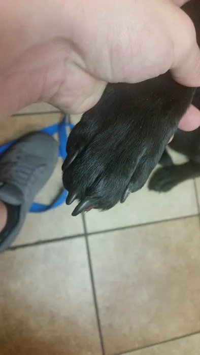 Banfield Pet Hospital Picture 7