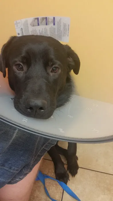 Banfield Pet Hospital Picture 10