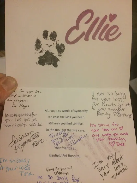 Banfield Pet Hospital Picture 8