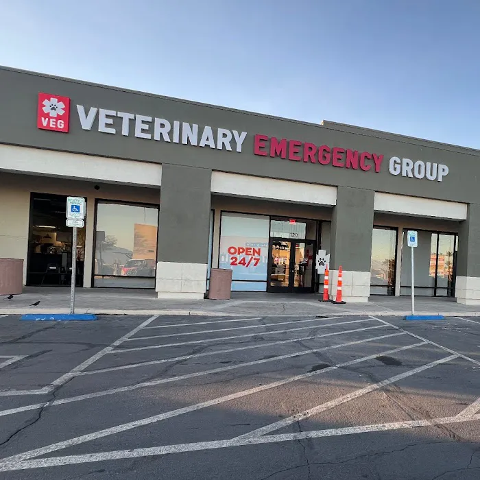 Veterinary Emergency Group Picture 10