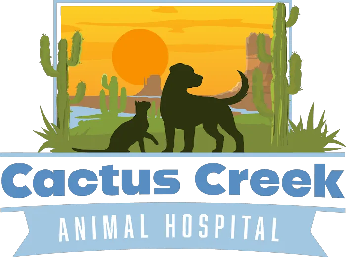 Cactus Creek Animal Hospital Picture 4