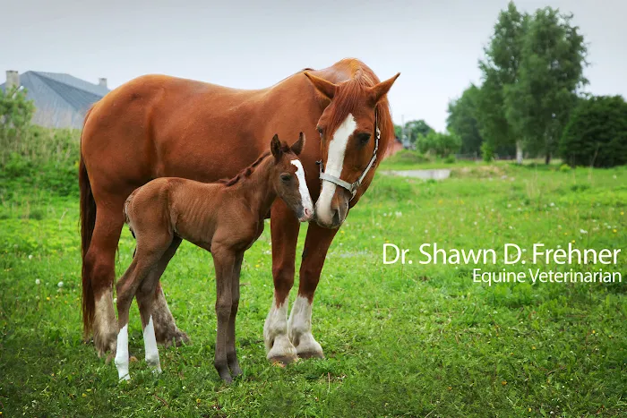 Dr. Shawn D. Frehner Picture 1
