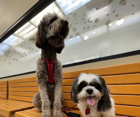 Banfield Pet Hospital