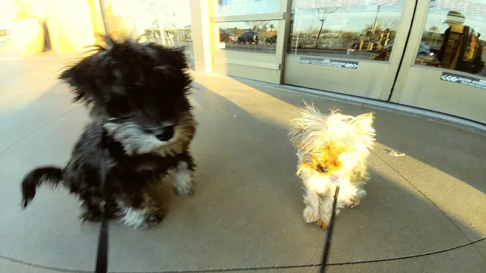 Banfield Pet Hospital Picture 4