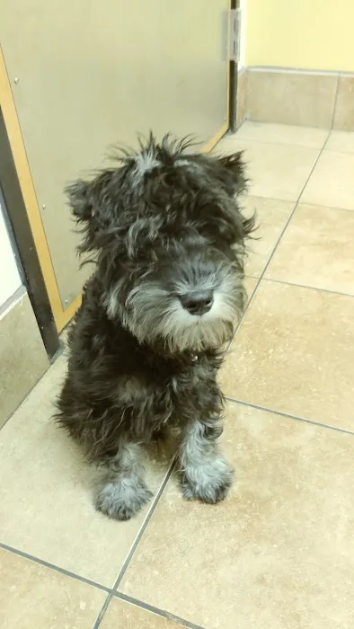 Banfield Pet Hospital Picture 9