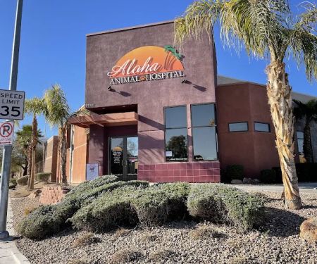 Aloha Animal Hospital