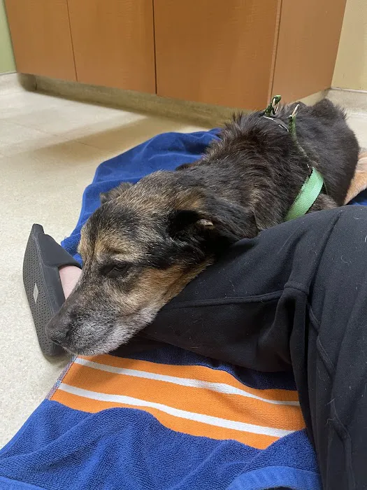 Aloha Animal Hospital Picture 9