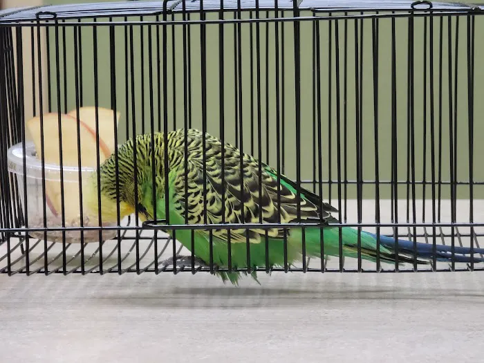 Aloha Animal Hospital Picture 8