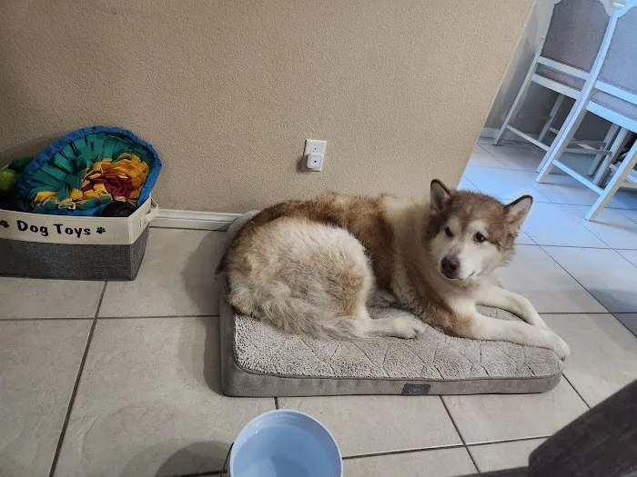 Vetco Total Care Animal Hospital Picture 4