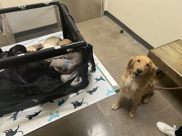 Vetco Total Care Animal Hospital Picture 8