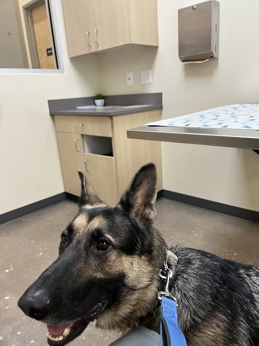 Vetco Total Care Animal Hospital Picture 7