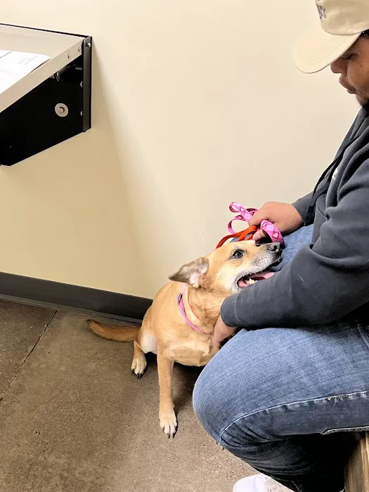 Vetco Total Care Animal Hospital Picture 10