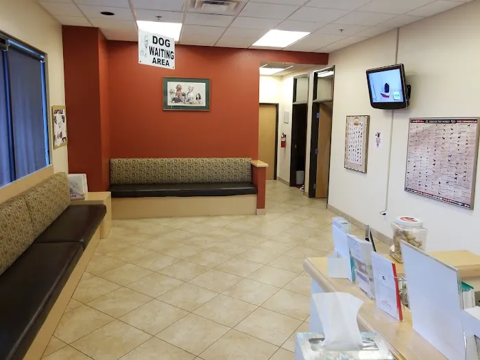 Haven Animal Hospital Picture 2