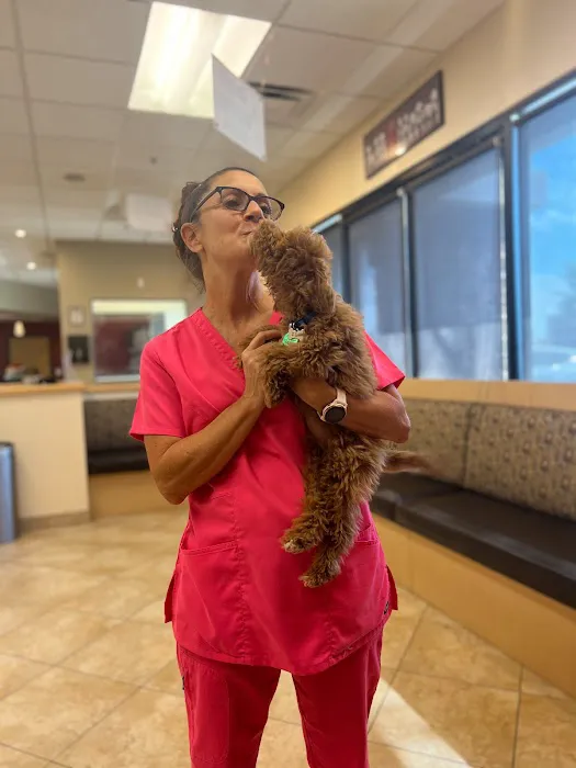 Haven Animal Hospital Picture 9