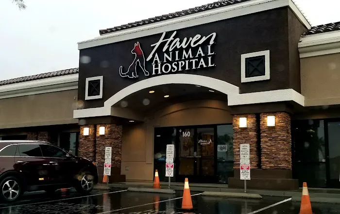 Haven Animal Hospital Picture 6