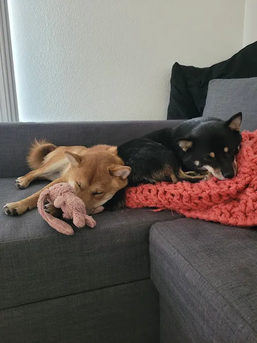 Haven Animal Hospital Picture 8