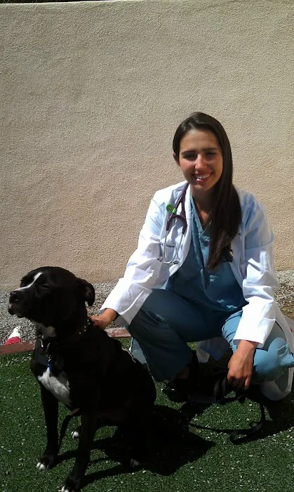 Centennial Hills Animal Hospital - Eva Evans DVM Picture 3