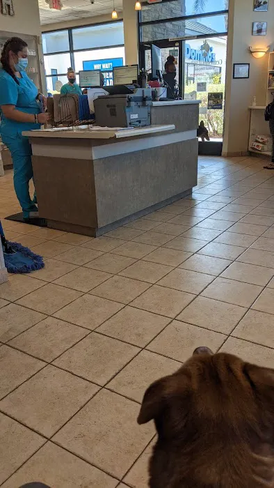 Centennial Hills Animal Hospital - Amanda Davis, DVM Picture 3