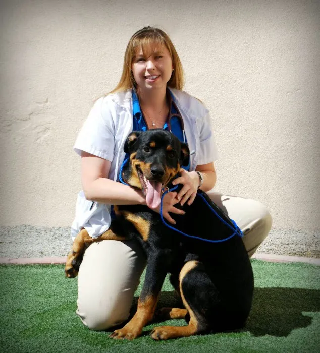 Centennial Hills Animal Hospital - Kimber Singer, DVM Picture 10