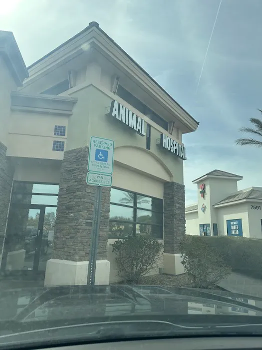 Centennial Hills Animal Hospital Picture 4