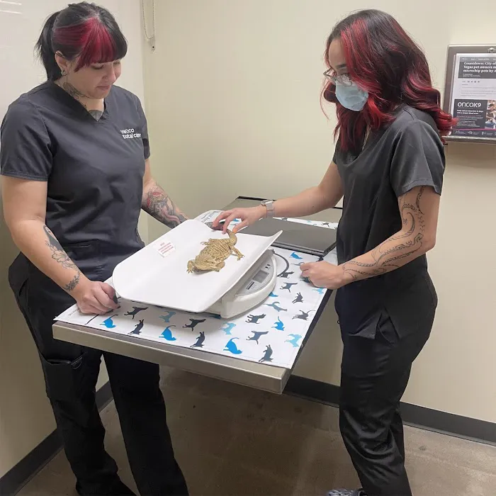 Vetco Total Care Animal Hospital Picture 8
