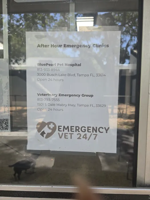 Town N Country Animal Hospital Picture 10
