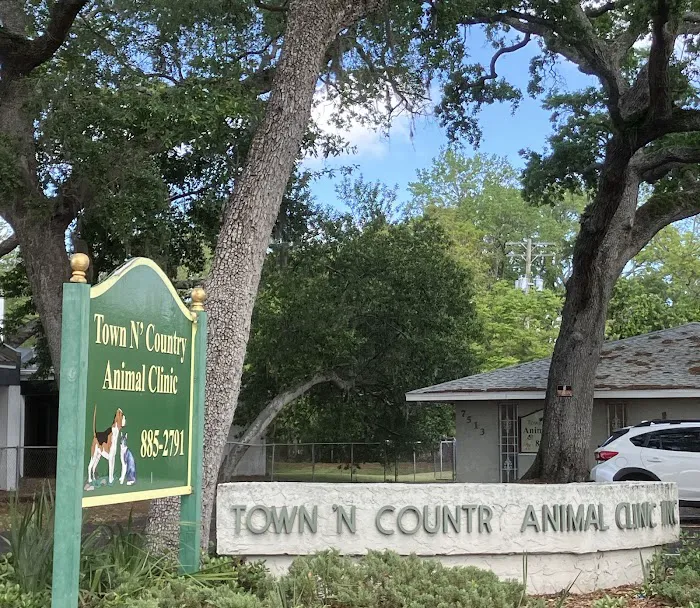 Town N Country Animal Hospital Picture 9