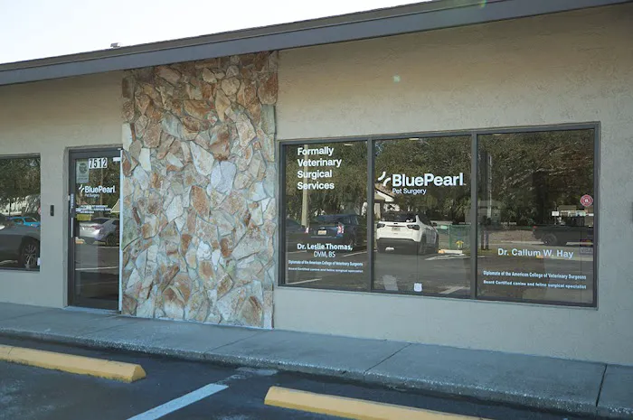 BluePearl Pet Hospital Picture 3