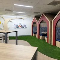 American Veterinary Group, LLC ico