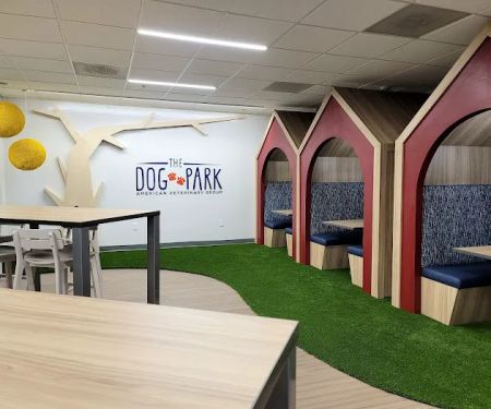 American Veterinary Group, LLC