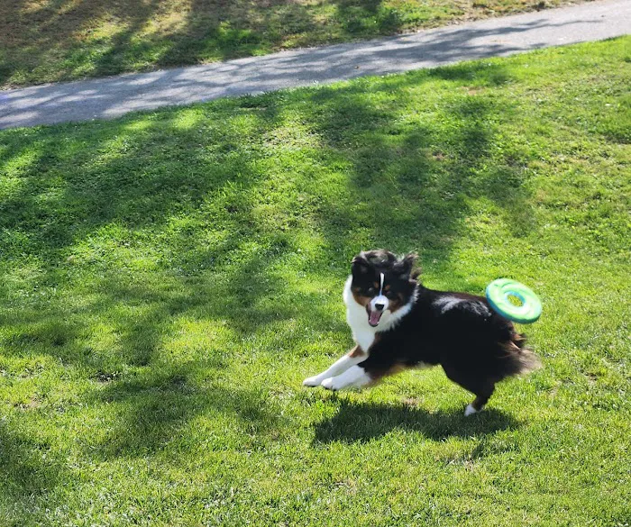 American Veterinary Group, LLC Picture 6