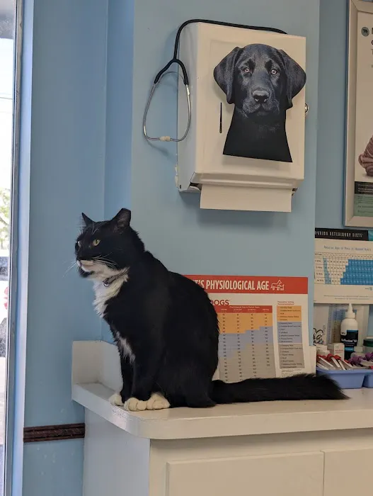 Country Oaks Animal Hospital Picture 7