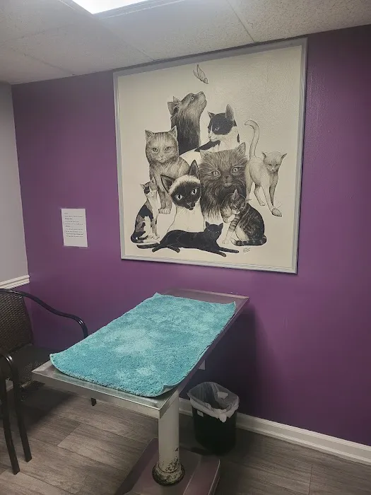 Baycrest Animal Clinic Picture 3