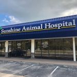 Sunshine Animal Hospital