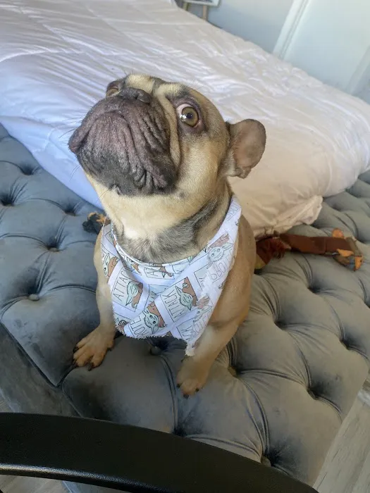 Sunshine Animal Hospital Picture 6