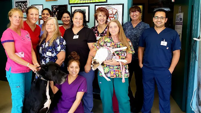 Circle of Life Animal Hospital Picture 2