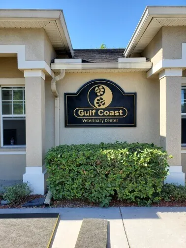Gulf Coast Veterinary Center of Tampa Picture 2