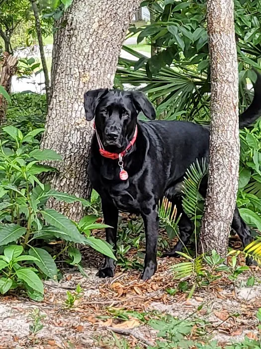 Gulf Coast Veterinary Center of Tampa Picture 7