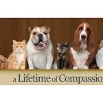 Bearss Animal Hospital