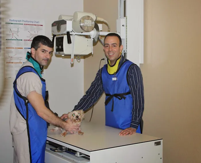 Bearss Animal Hospital Picture 6