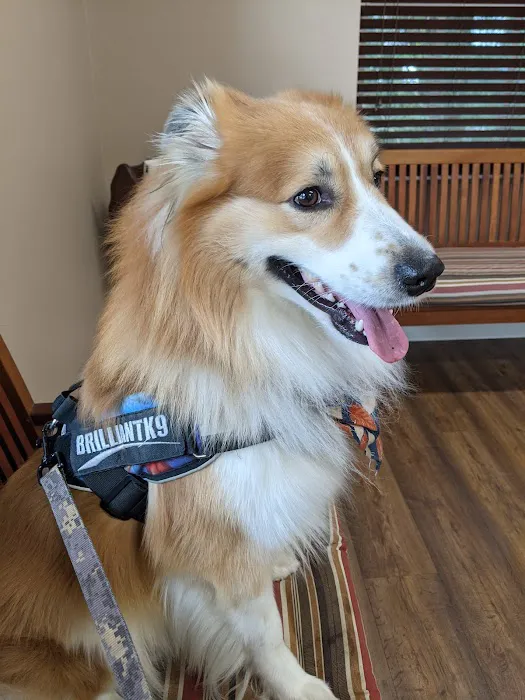Gregory Vet Clinic Picture 2