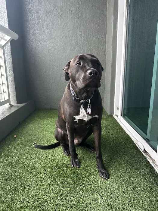Gregory Vet Clinic Picture 4
